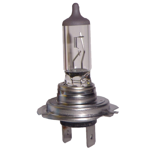 Lampadina H7