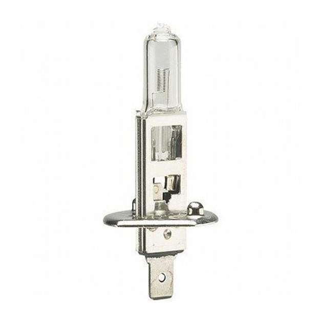 Lampadina H1 12V