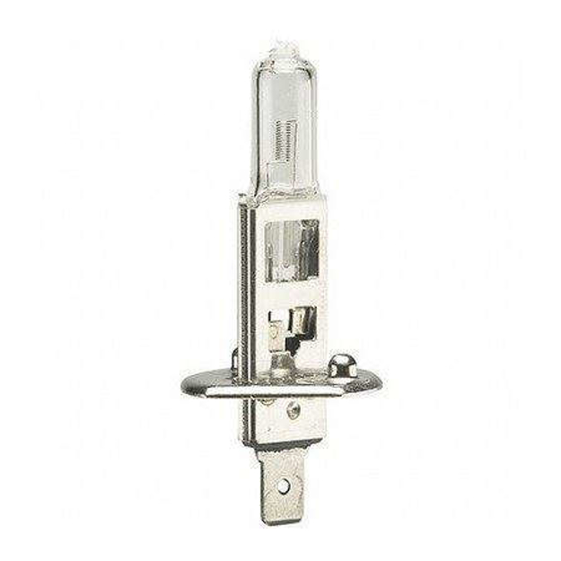 Lampadina H1 24V