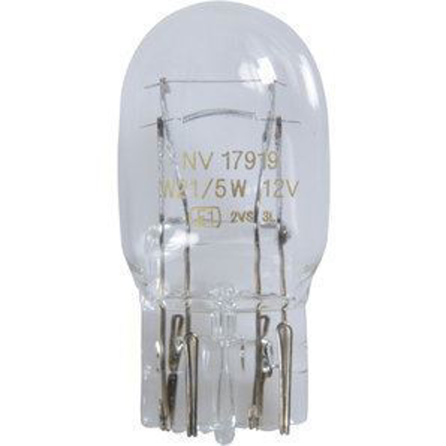 Lampadina 12v 21/5w per Daily